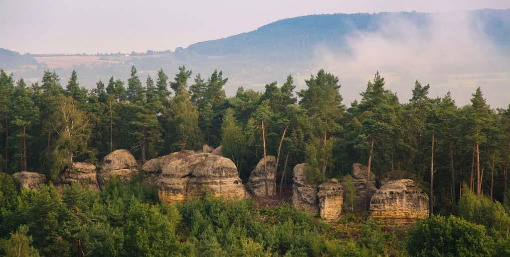 Obrázek 8-20 PP Stříbrný vrch (420-440 m n. m.) - pohled ke skalám Prochody u obce Hvězda. (foto: Mirka Schärfnerová, http://www.panoramio.