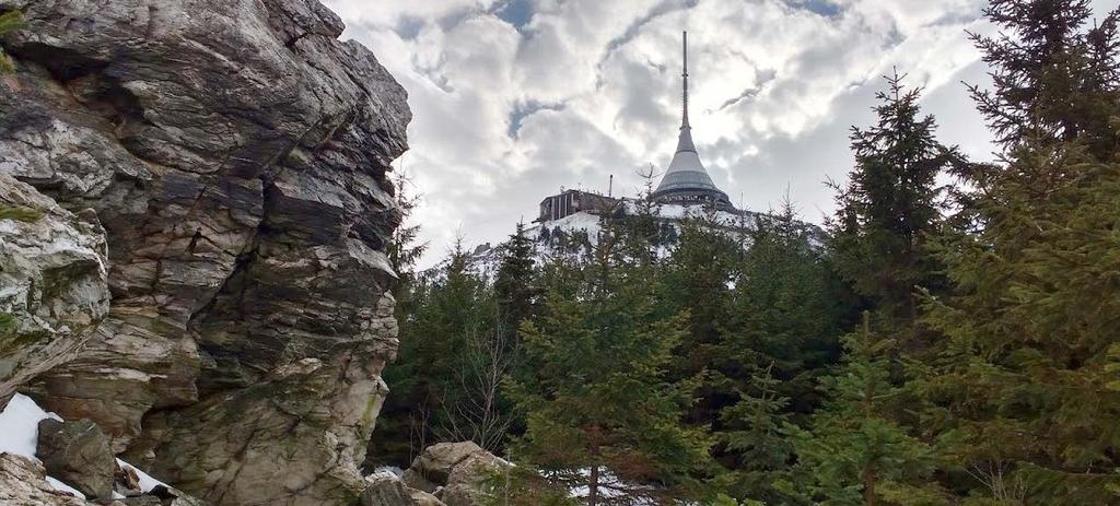 Obrázek 8-38 Kvarcity na Ještědu (foto: Iva Kůrková) Část smrkového porostu je odumřelá v důsledku silného imisního zatížení území v průběhu 70. - 90. let 20. století.