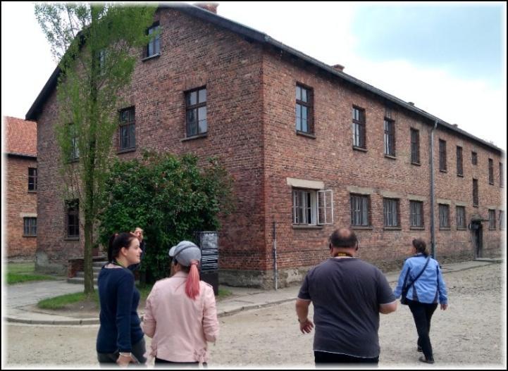 V kmenovém táboře (Osvětim I.) jsme například prošli branou s proslulým nápisem Arbeit macht frei, prohlédli si zařízení běžných bloků a stanuli před popravčí zdí.
