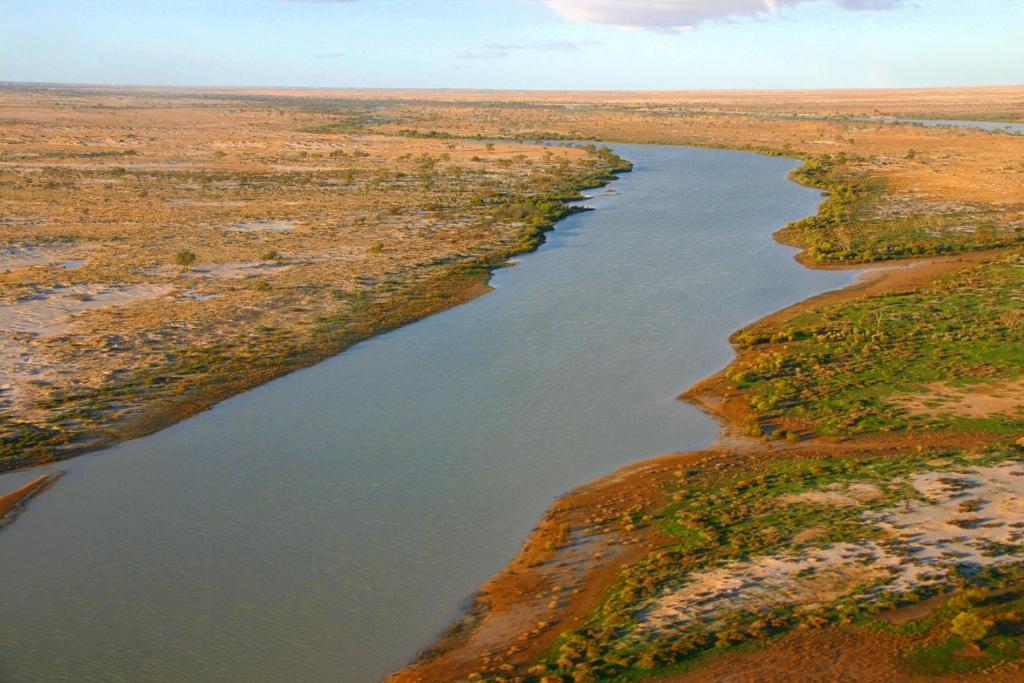 Dominantním přítokem do jezera je Warburton Creek (River) na severním okraji jezera.