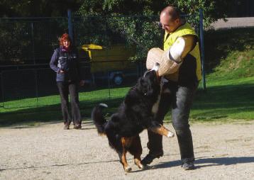 PŘÍSPĚVKY ČLENŮ KLUBU jsem si ji adoptovala jako plachou fenečku. Dnes je z ní úžasná sebevědomá dáma, která ušla kus cesty a které táhne na osmý rok.