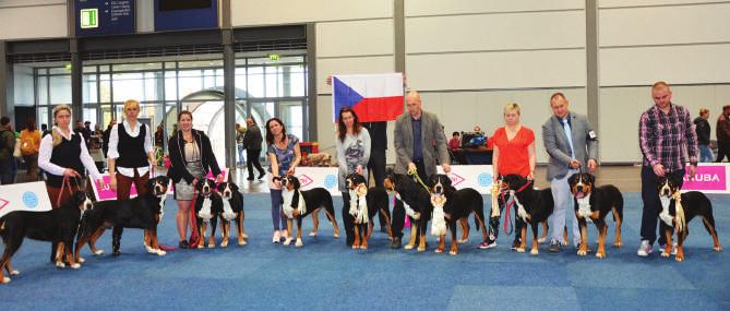 AKTUÁLNĚ - PO UZÁVĚRCE V kategorii štěňat-fenky zvítězila s titulem Puppy World Winners 2017 Cute Holly From Nina s Farm, chovatel i majitel je Jiří Vymazal.