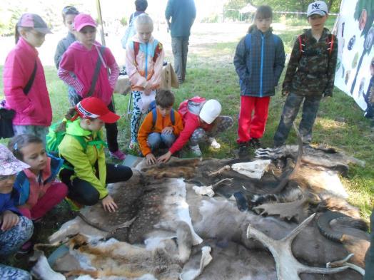 semínka po židli. Učili se měřit výšku a stáří stromů, poznávali různé druhy lesních živočichů podle srsti, rohů a parohů.