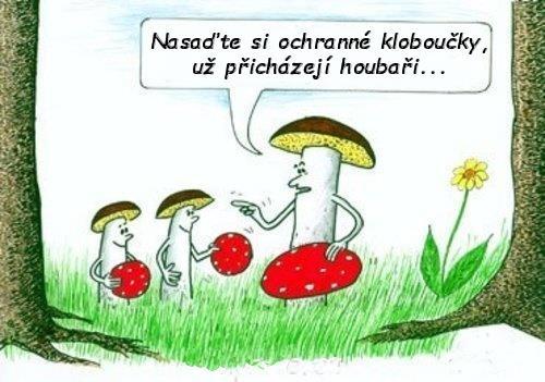 Chystáš