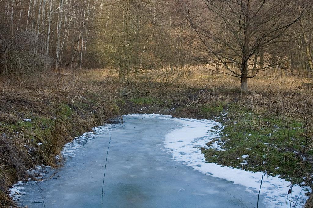 2. METODIKA 2.1 Lokalita a materiál Sediment s efipii byl odebrán z lokality Tůň v rákosině v CHKO Kokořínsko v Čechách (obr. 2.).