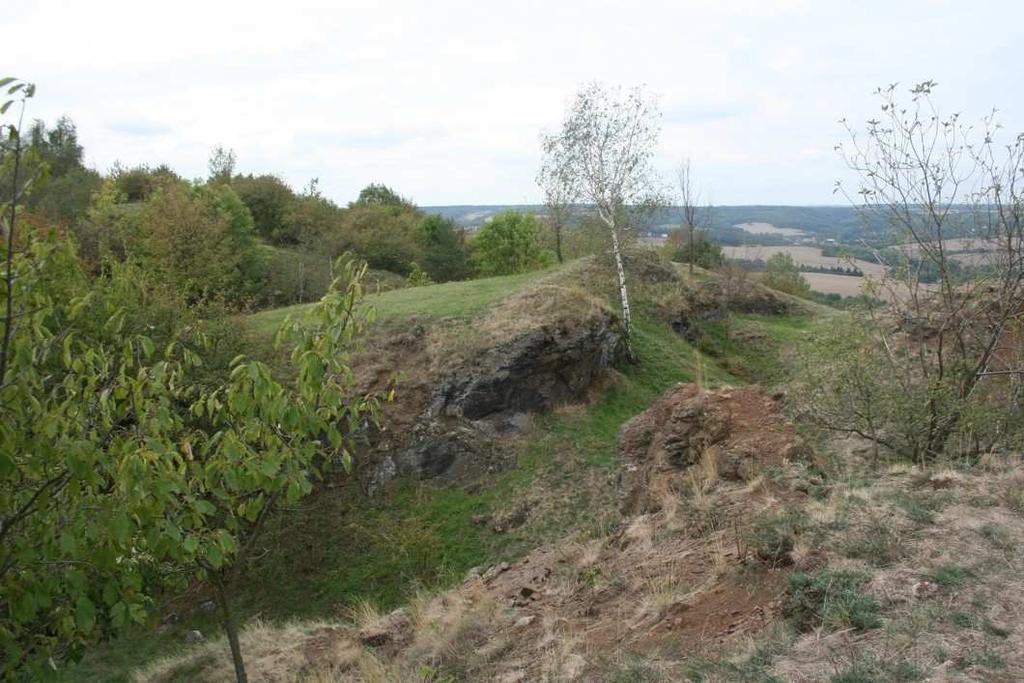 k zarůstání teplomilnými křovinami, zejména růžemi (Rosa sp.), hlohy (Crataegus spp.), dále trnkou (Prunus spinosa), skalníkem (Cotoneaster integerrimus) a dřínem (Cornus mas). Obr. 12.