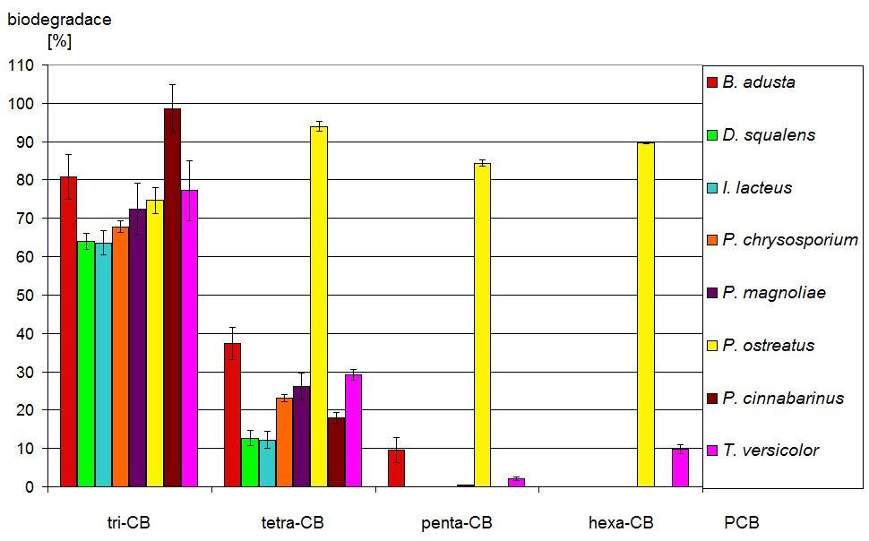 Obr. 8 Biodegradace tri-, tetra-, penta- a hexa-cb Deloru 103