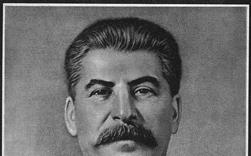 Stalina urychlená