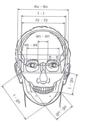 Rozměry měřené na hlavě (měříme kefalometrem) M1: největší délka mozkovny: přímá vzdálenost bodu glabella (g) od bodu opistokranion (op), tj. od nejvíce vzdáleného bodu na týlu hlavy ve střední čáře.