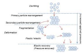Model viskoelastické deformace tělesa Kelvin-Voigtův model σ = Fε + η dε dt elastická složka (pružina) Hookovo těleso okamžitá elastická deformace vratná plastická složka ( píst ) σ = Fε probíhá