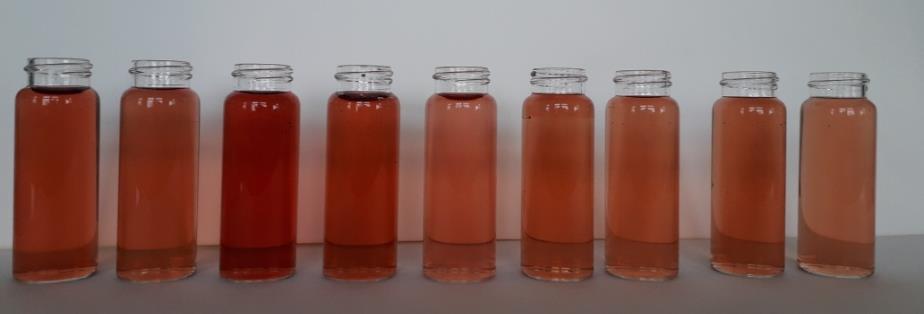 Průměrný obsah celkových antokyanů se také pohyboval ve velké rozmezí, a to od 17,01 do 87,62 mg. l -1. Směrodatná odchylka se pohybovala mezi hodnotami 0,1 a 2,1.