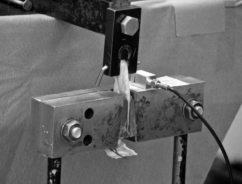 103/ Acta Chir Orthop Traumatol Cech. 84, 2017, No. 2 PŮVODNÍ PRÁCE Obr. 3. Detailní zobrazení svorky na uchycení štěpu, patrné připojení laserového akcelerometru na testovací rám. Obr. 4.