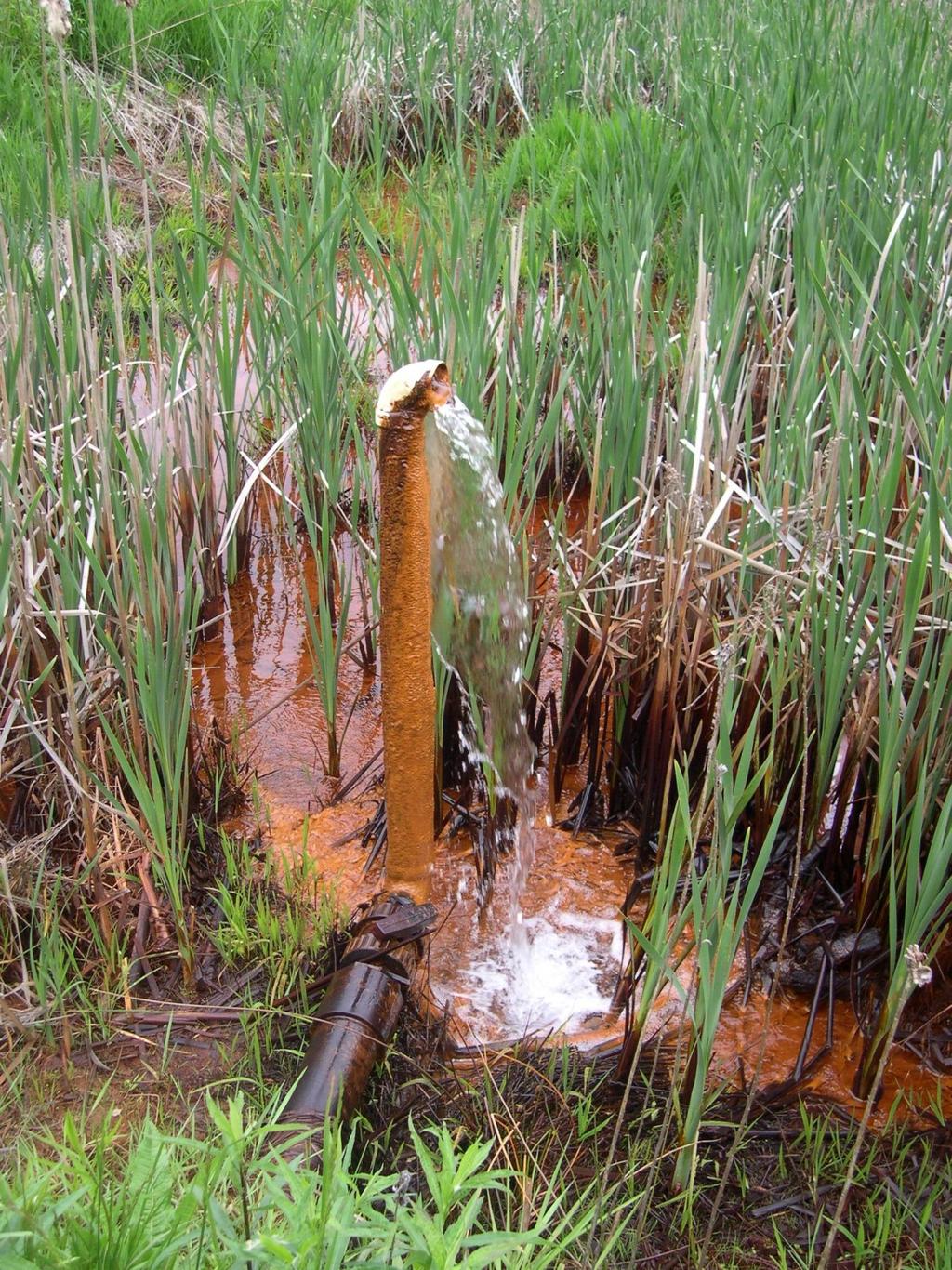Oxidace