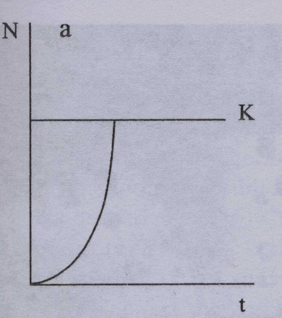 Růstové křivky exponenciální (tvar J) - u této křivky se rychlost růstu neustále zvyšuje, až do doby kdy je vyčerpán