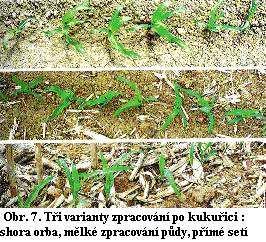 19 6. Utužení půdy Je důsledkem nevhodného obhospodařování v minulých 40 letech v důsledku provádění následujících zásahů : - těžká mechanizace použitá za nevhodných podmínek - nadměrné dávky