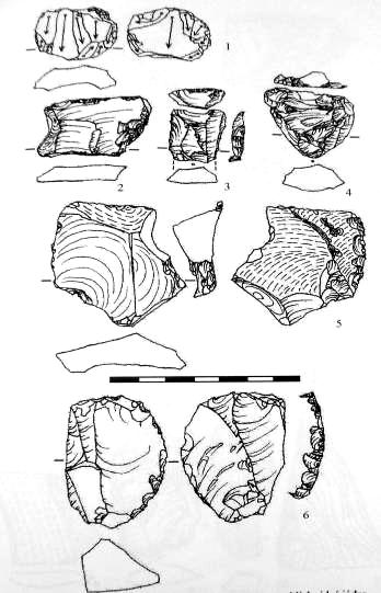 Paleolitická industrie Z četných vycházek jsem na lokalitě vyhledal celkem 85 kusů paleolitických kamenných artefaktů (k roku 2010).