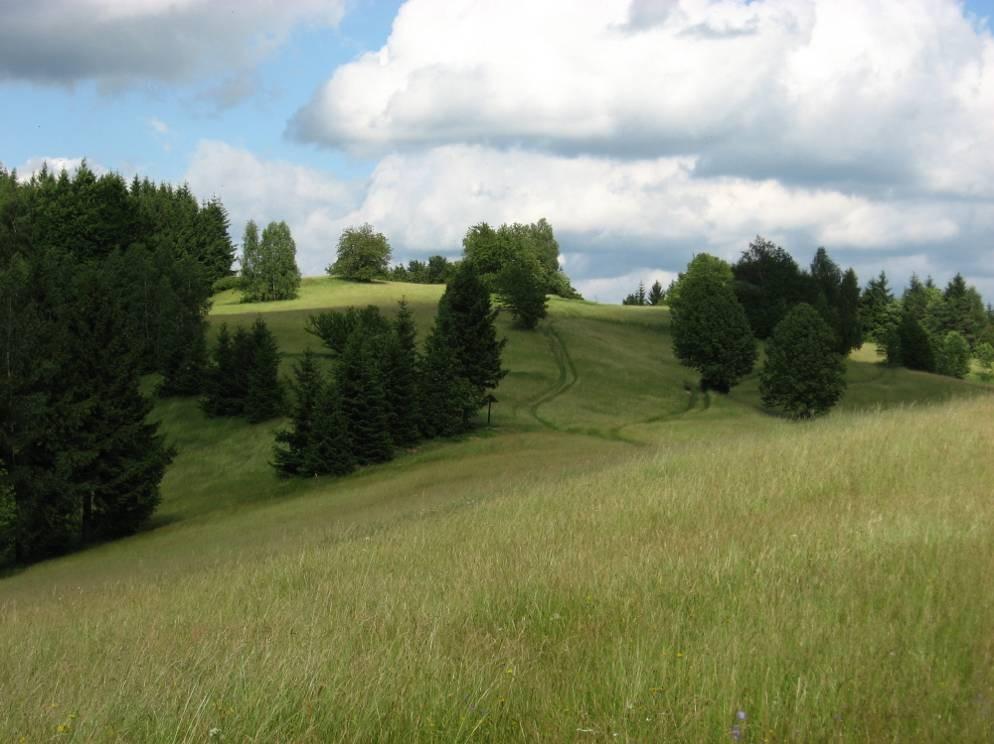 Příloha č. 3: Fotodokumentace Foto č.