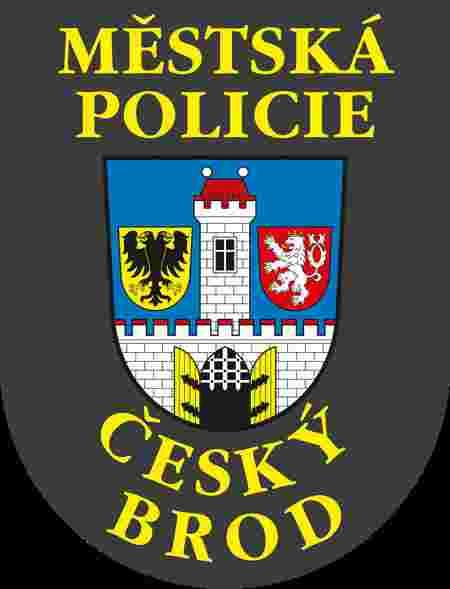 Výroční zpráva Městská policie Český Brod 2015 Zpracoval: Jan