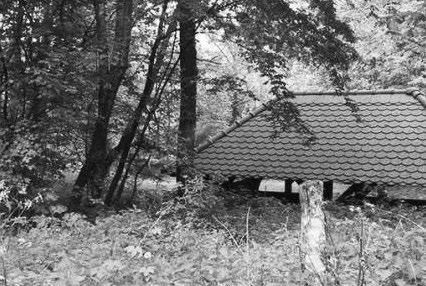 Natočte film Skupina, která objevila jako první pozůstatky mlýna, dostala za úkol natočit je na videokameru a připravit živý vstup.