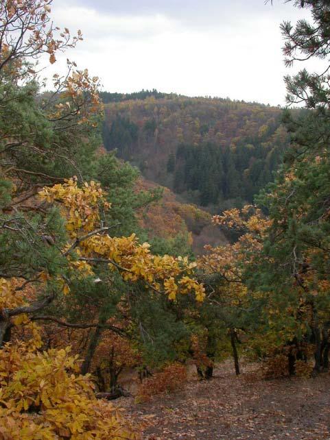 sněžná čára horní hranice
