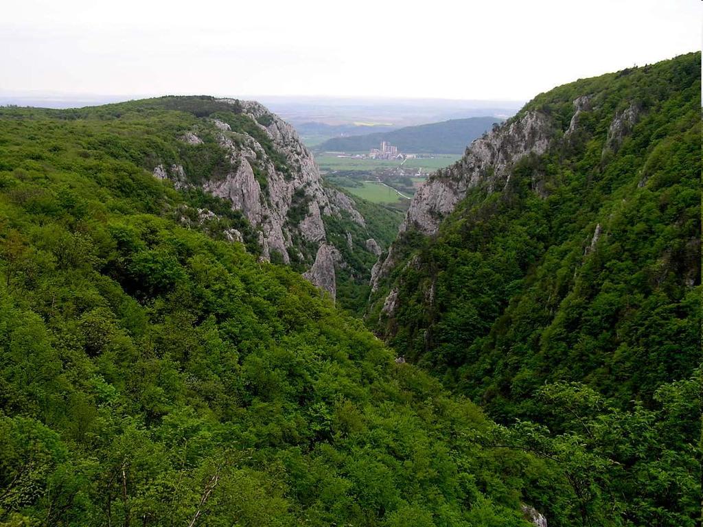 Inverzní
