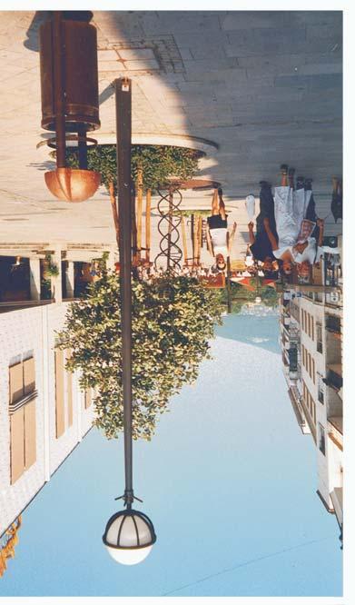 SENEC