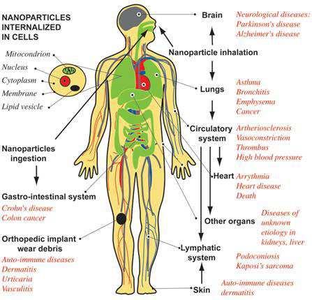 Možné cesty expozice nanočásticemi a přidružená onemocnění navržené na základě