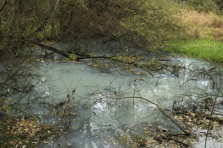 Okolí areálu  průmyslové zóny