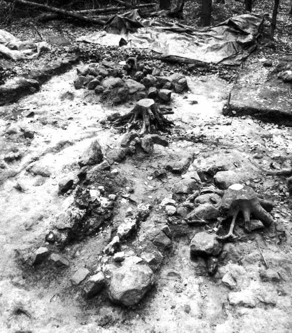 ARCHEOLOGIA TECHNICA / 23 64 V nedávných letech byl prováděn tímtéž muzeem další výzkum sklářské hutě v Jizerských horách v obci Bedřichov, vedený archeoložkou M.