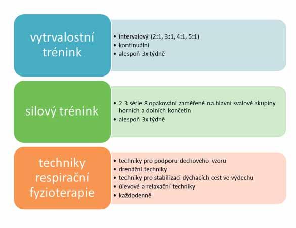 ODBORNÝ ČLÁNEK 19 žádnému výskytu jednotlivých příznaků onemocnění.