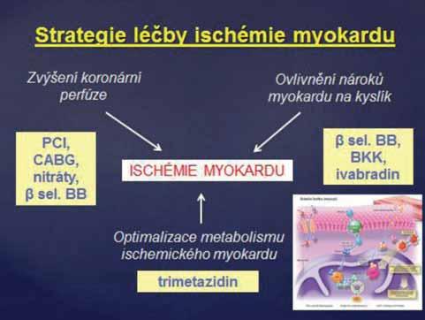 ZPRÁVY Z KONFERENCE 37 (obr. 1).