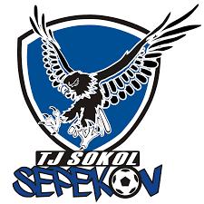 V roce 2011 byly spuštěny první internetové stránky TJ Sokol Sepekov. Na přelomu tisíciletí byl vytvořen první znak Tělovýchovné jednoty Sokol Sepekov.