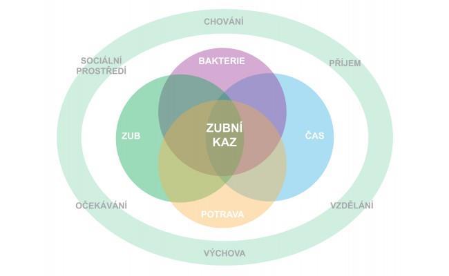 I. Teoretická část 1. Etiologie a patogeneza zubního kazu Etiologie zubního kazu je multifaktoriální.