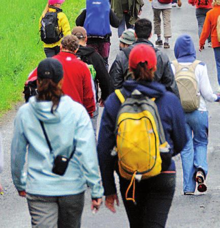 Indikace: K prodloužení maximální vzdálenosti, kterou mohou bez bolesti ujít pacienti s intermitentní klaudikací, kteří nemají klidové bolesti a známky nekrózy periferních tkání (onemocnění