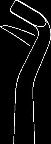 PÁKY EXTRKČNÍ ROOT ELEVTORS PÁKY EXTRKČNÍ ROOT ELEVTORS 4 mm 4 mm ŠPINR 123 50 0210