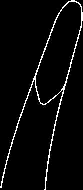 08 0080 zahnuté curved 14,5 cm JNSEN