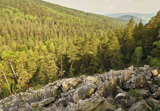 Přední Výtoni Rožmberk Malšín Frymburk Lipno nad Vltavou Vyšší Brod - Rožmberk Délka trasy: 40 km nádherné výhledy z