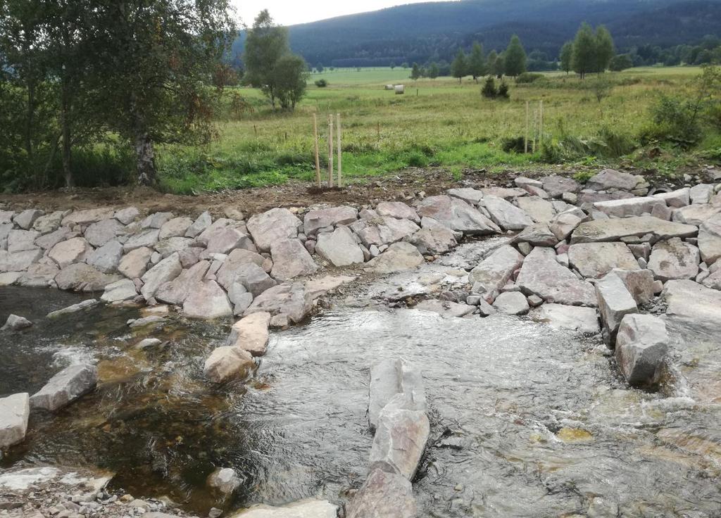 Orlické Záhoří valouny mají nepravidelný