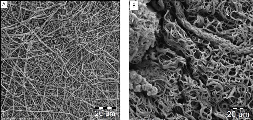 Absorbance Obr. 29: Struktura nanovláken modifikovaných fenylalaninem. (A) nemodifikovaná vlána z polyvinylakoholu, (B) vlákna modifikována linkerem (polyetylenglykol a biotin) a fenylalaninem.