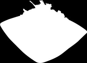 Kč Savencia Lučina