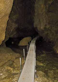 Kromě správy jeskyně Han (Ewa Krywko, Brigitte Malou) spolupořádala seminář také firma Cave Lighting (Alexander Chrapko, Německo).