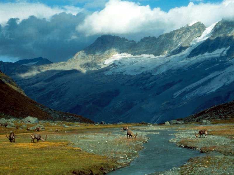 Historie ochrany přírody v datech (7) 1922 Zřízení národního parku Gran Paradiso v Itálii 1926 Zřízení Krügerova národního parku v Jižní Africe