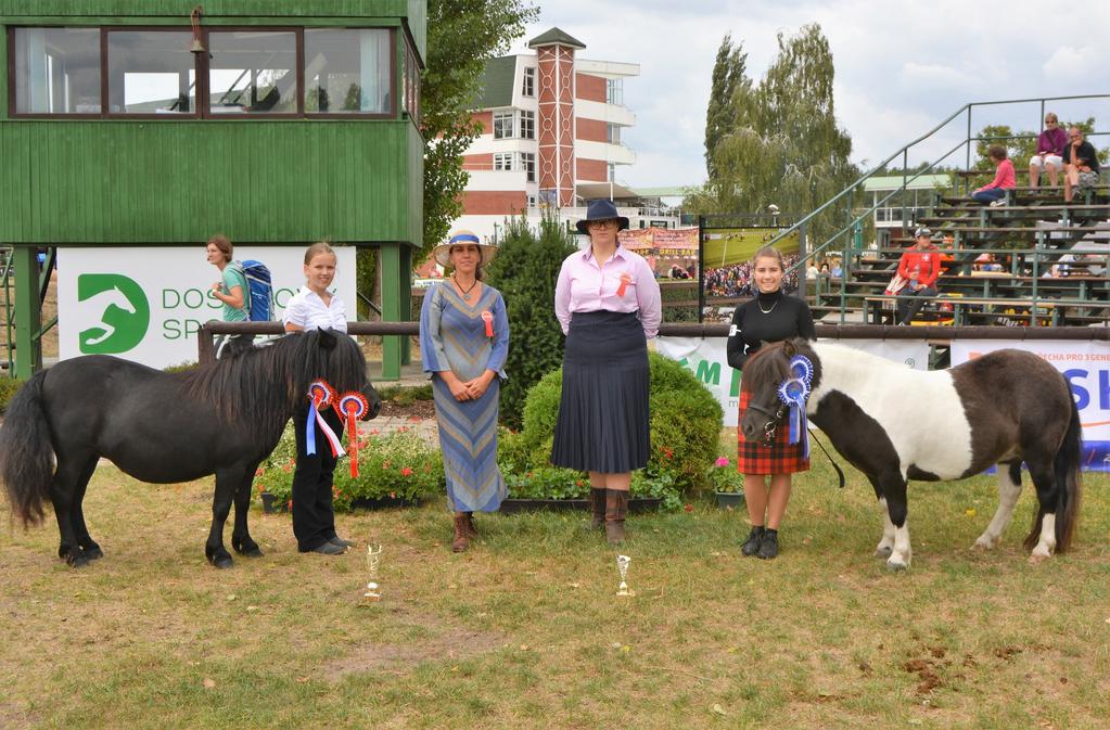 0 ŠAMPIONÁT KATAGORIE STANDARD TYP ŠAMPION KATEGORIE