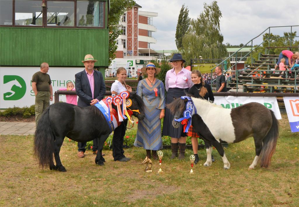 SUPREME ŠAMPIONÁT SUPREME ŠAMPION VÝSTAVY DEMY V.H.