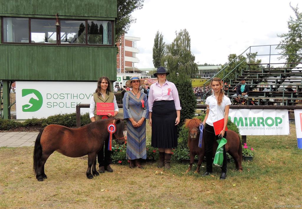 4 ŠAMPIONÁT SENIORŮ MINI TYP SENIOR ŠAMPION