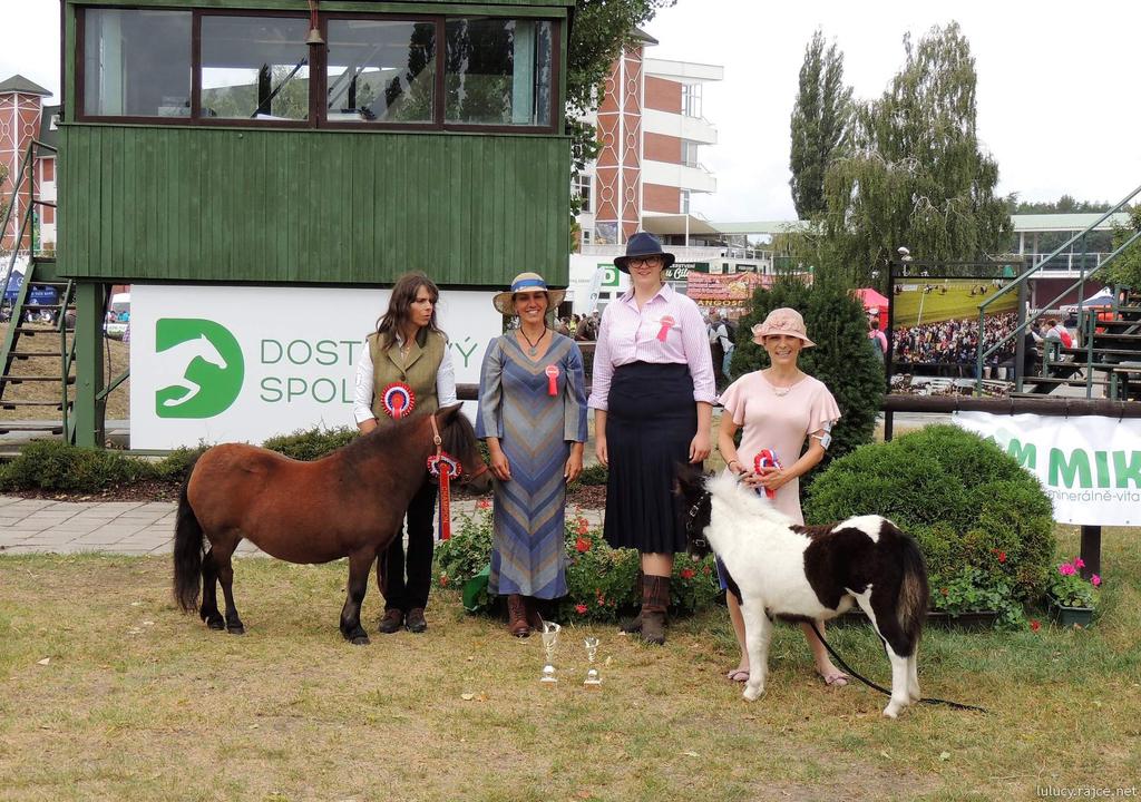 5 ŠAMPIONÁT KATAGORIE MINI TYP ŠAMPION KATEGORIE VÍCEŠAMPION