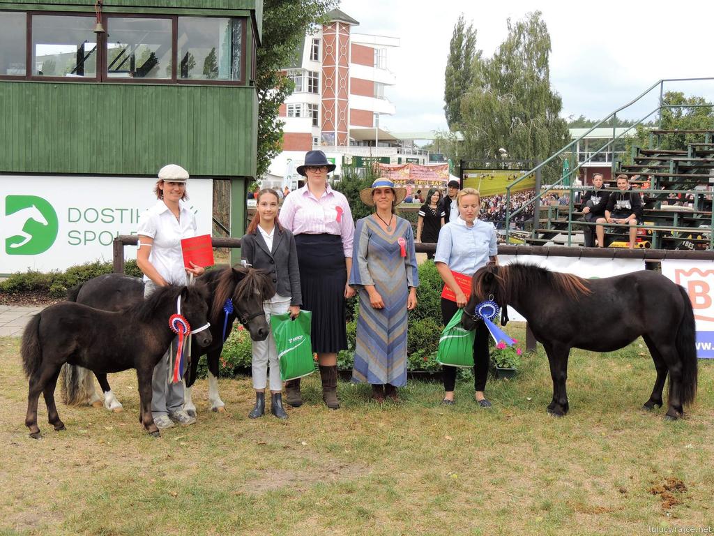 8 ŠAMPIONÁT KATAGORIE STANDARD TYP ŠAMPIONÁT JUNIORŮ STANDARD TYP