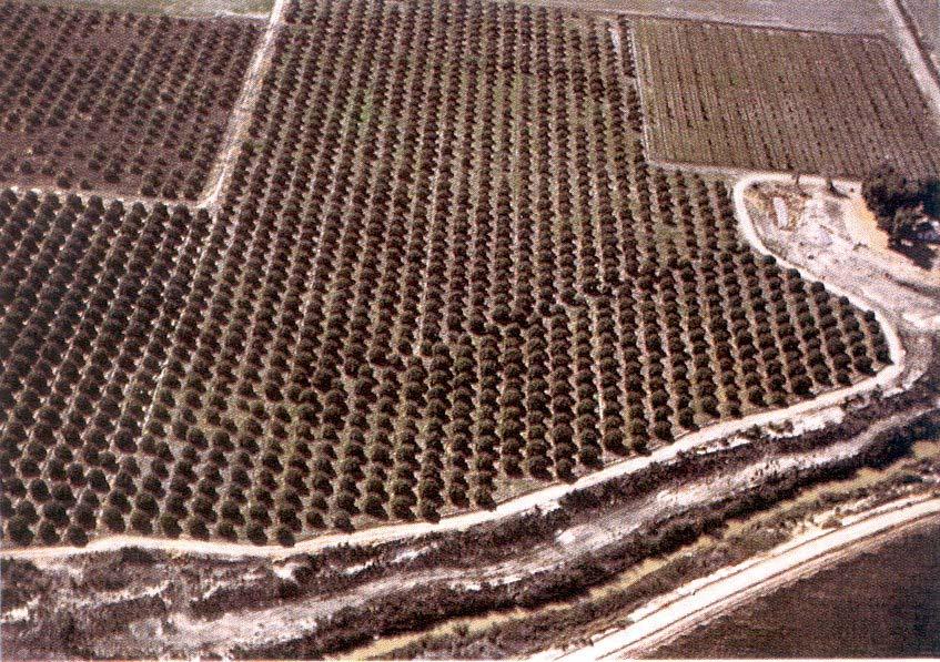 Zemětřesení Kontinuální posun podél San Andreaské poruchy (Carrizo Plains).