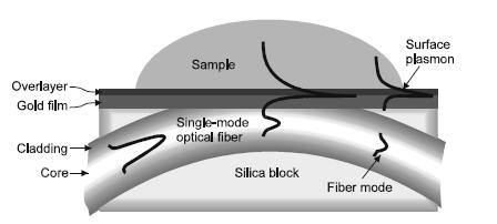 SPR biosenzor na D-vláknu 1.329 1.335 R. Slavik et al.