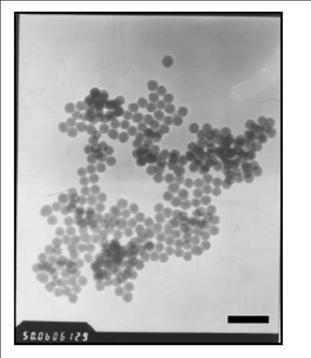 PEBBLE - PŘÍPRAVA Nanočástice 20-100 nm obsahující převodníky jsou připravovány emulzními technikami na základě : Polymerů Organicky modifikovaných